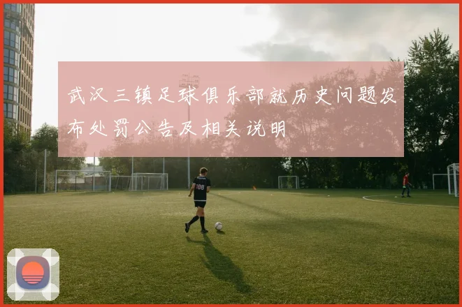 武汉三镇足球俱乐部就历史问题发布处罚公告及相关说明