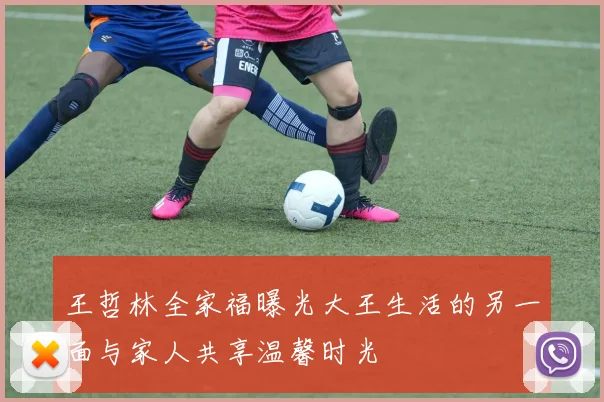 王哲林全家福曝光大王生活的另一面与家人共享温馨时光